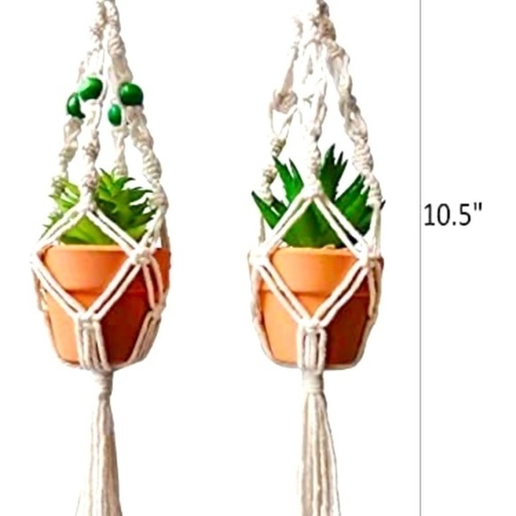 CAR SUCCULENT | RearView Mirror Hanging Car Cactus Succulent 10.5”. - Picture 3 of 4